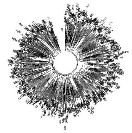 Анатолий Клёсов - Кому мешает ДНК-генеалогия?