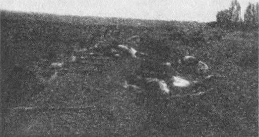 Алексей Ардашев - Великая окопная война. Позиционная бойня Первой мировой