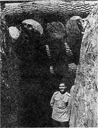 Алексей Ардашев - Великая окопная война. Позиционная бойня Первой мировой