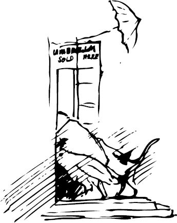 Эдвард Лир - Чистый nonsense (сборник)