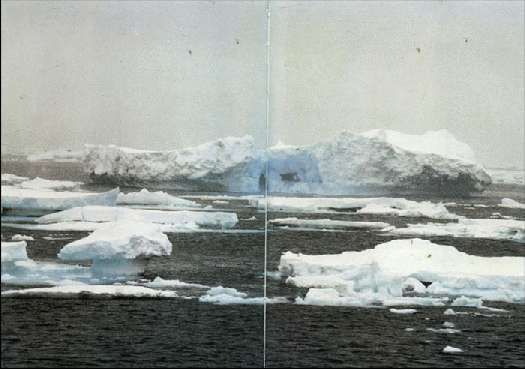 Карло Маури - Когда риск - это жизнь!