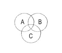 Роман Чеппелер, Микаэль Крогерус - Книга перемен