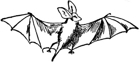 Эдвард Лир - Чистый nonsense (сборник)