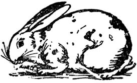 Эдвард Лир - Чистый nonsense (сборник)