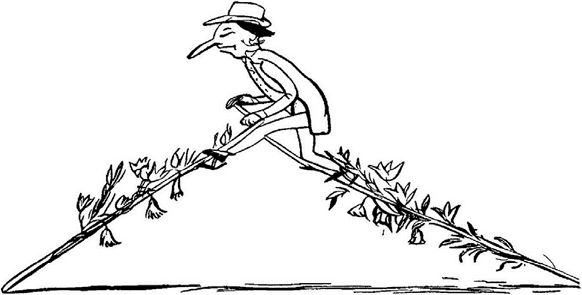 Эдвард Лир - Чистый nonsense (сборник)