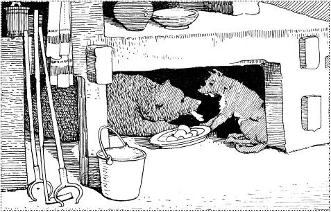 Александр Афанасьев - Народные русские сказки из собрания А. Н. Афанасьева