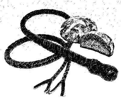 Александр Федотов - Новые записки матроса с "Адмирала Фокина" (сборник)