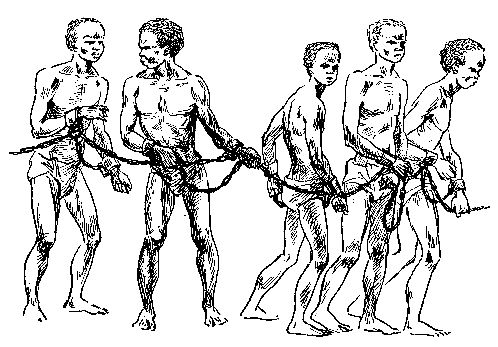 Луи Жаколио - Берег черного дерева и слоновой кости