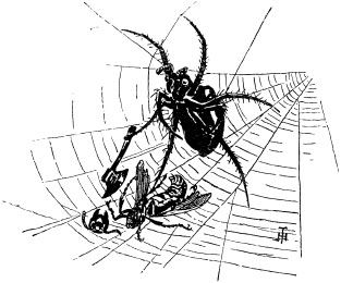 Александр Афанасьев - Народные русские сказки из собрания А. Н. Афанасьева