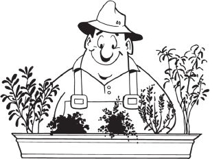 Анна Зорина - Огород и сад без хлопот и затрат