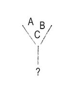 Роман Чеппелер, Микаэль Крогерус - Книга перемен