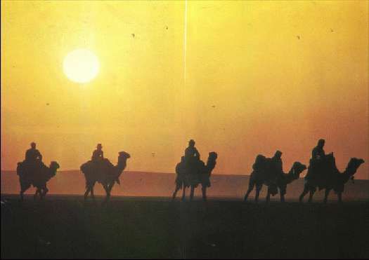 Карло Маури - Когда риск - это жизнь!