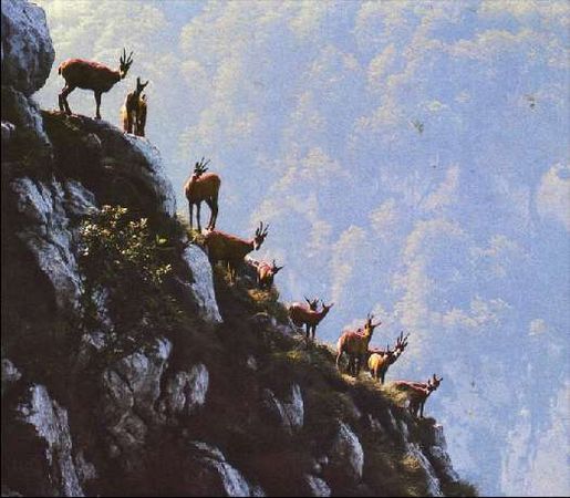 Карло Маури - Когда риск - это жизнь!