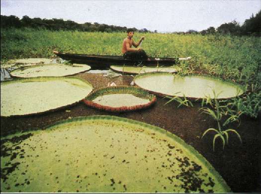 Карло Маури - Когда риск - это жизнь!