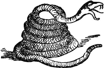 Эдвард Лир - Чистый nonsense (сборник)