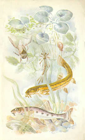 Марк Махлин, Людмила Солоницына - Аквариум в школе