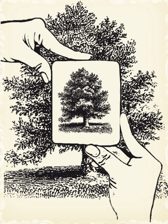 Сборник - Американские крылатые выражения