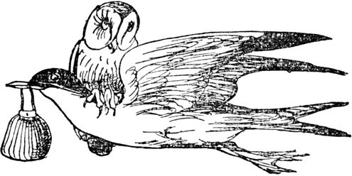 Эдвард Лир - Чистый nonsense (сборник)