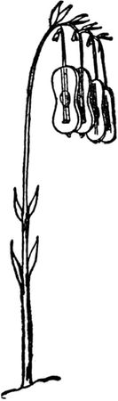 Эдвард Лир - Чистый nonsense (сборник)