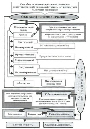 Евгений Головихин, Сергей Степанов - Теоретические и методические основы...