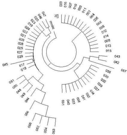 Анатолий Клёсов - Кому мешает ДНК-генеалогия?