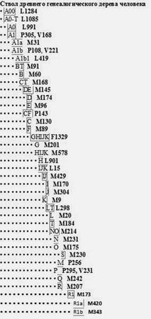Анатолий Клёсов - Кому мешает ДНК-генеалогия?