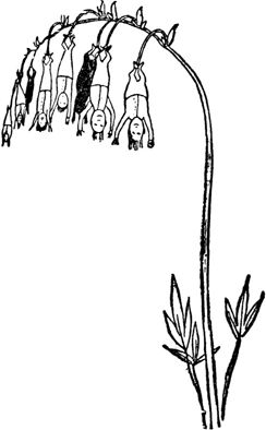 Эдвард Лир - Чистый nonsense (сборник)