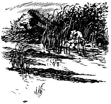 Сергей Зарубин - Тропой разведчика