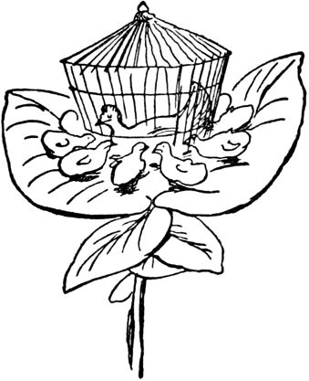 Эдвард Лир - Чистый nonsense (сборник)