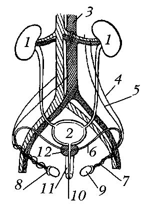 Юлия Улыбина - Любовь и ваше здоровье