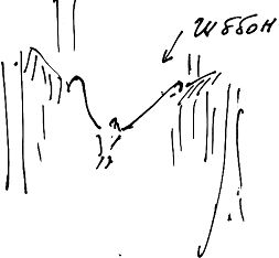 Александр Покровский - Тропик лейтенанта. Пиратское рондо