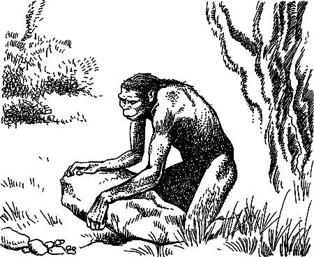 Джек Лондон, Герберт Уэллс и др. - Сила сильных