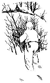 Сергей Зарубин - Тропой разведчика