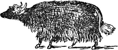 Эдвард Лир - Чистый nonsense (сборник)