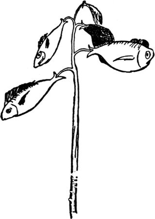 Эдвард Лир - Чистый nonsense (сборник)