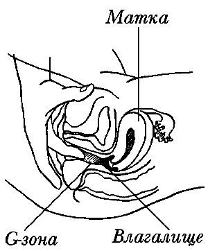 Юлия Улыбина - Любовь и ваше здоровье