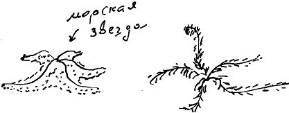 Александр Покровский - Тропик лейтенанта. Пиратское рондо