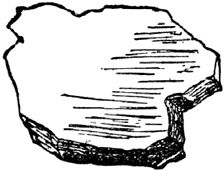 Эдвард Лир - Чистый nonsense (сборник)