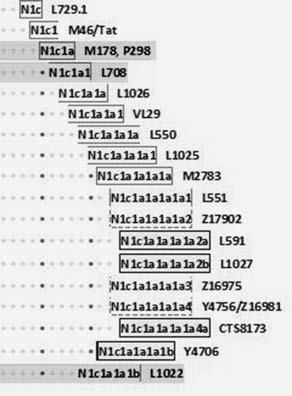 Анатолий Клёсов - Кому мешает ДНК-генеалогия?