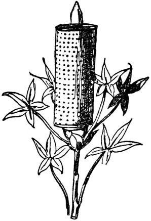 Эдвард Лир - Чистый nonsense (сборник)