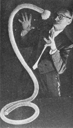 Александр Вадимов, Марк Тривас - От магов древности до иллюзионистов наших дней