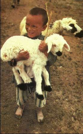 Карло Маури - Когда риск - это жизнь!