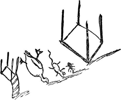 Эдвард Лир - Чистый nonsense (сборник)