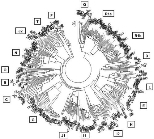 Анатолий Клёсов - Кому мешает ДНК-генеалогия?