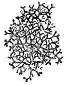 Марк Махлин, Людмила Солоницына - Аквариум в школе