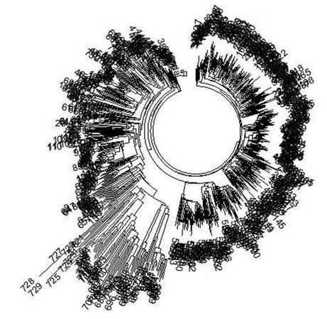Анатолий Клёсов - Кому мешает ДНК-генеалогия?