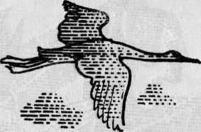 Яан Кросс - Окна в плитняковой стене