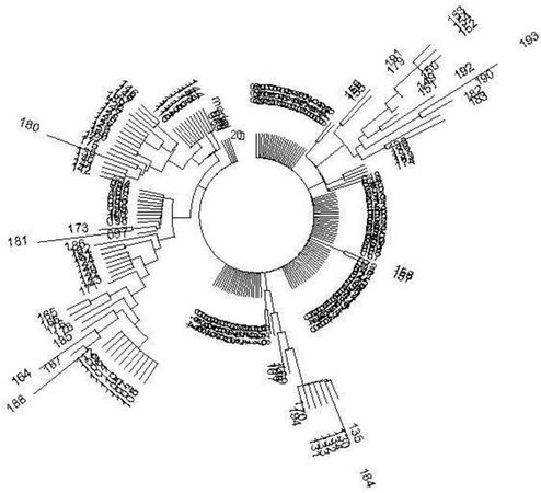 Анатолий Клёсов - Кому мешает ДНК-генеалогия?