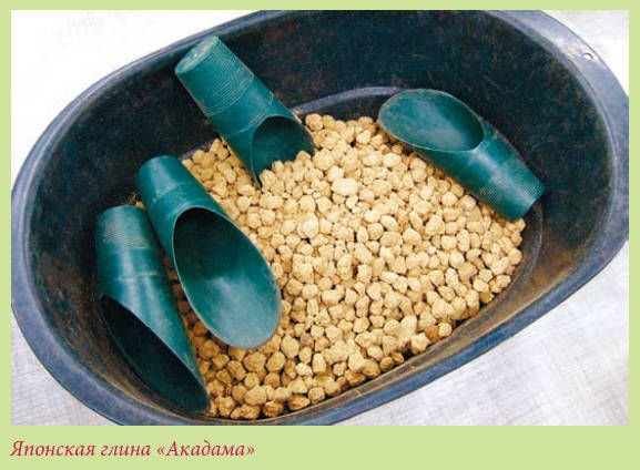 Мария Згурская - Бонсай