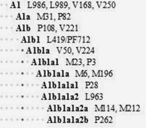 Анатолий Клёсов - Кому мешает ДНК-генеалогия?